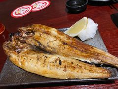 -纪州豚骨酱油拉面(锦延路店)