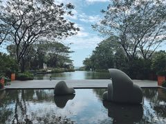 -瑰丽酒店·海吧·天际下午茶·现场DJ·天台酒吧