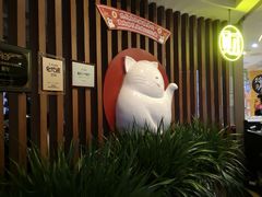 -猫爪爪原切自助烤肉(观音桥阳光世纪店)