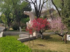 -莲花池公园