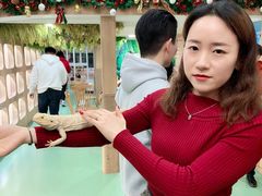 -藦茜花园宠物主题亲子互动体验馆(国顺东路店)