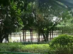 -光明港公园