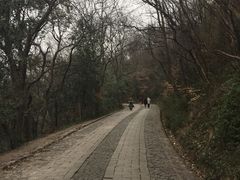 -紫金山天文台
