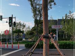 -北京环球影城主题公园-停车楼