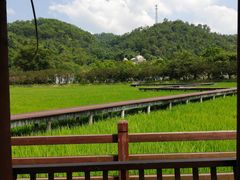 -红山村