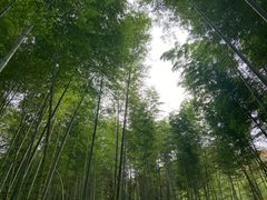 -崇阳三特浪口温泉