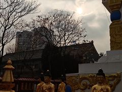 -护国法轮寺
