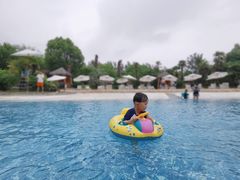 -上海东方佘山翰悦阁酒店·Vie全日制餐厅