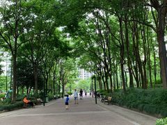 -苏州河梦清园环保主题公园