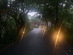 -木守西溪溪隐餐厅