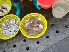-陈记汤饭(水巷口店)