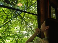 -合肥滨湖国家森林公园