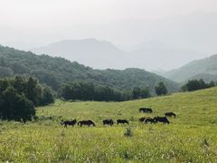 -灵山