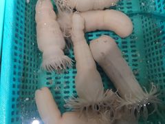-海蓝海鲜馆(五四北店)
