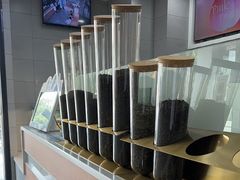 -雾与山茶(大禹城店)