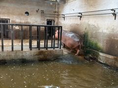 -石家庄市动物园