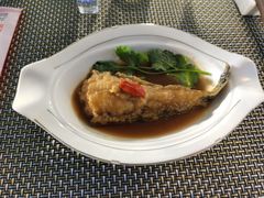 -松针蔡记蒸饺(花园路店)
