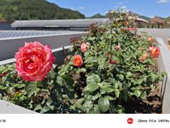 -遥桥古堡