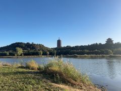 -永定河休闲森林公园