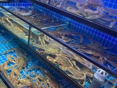 -吉友粥底火锅(方斜路店)