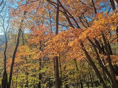 -五女峰国家森林公园