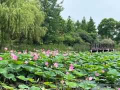 -澹台湖公园