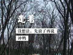 -双珠公园