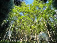 -太阳湾风景区