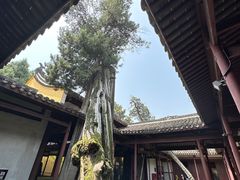 -太平天国侍王府