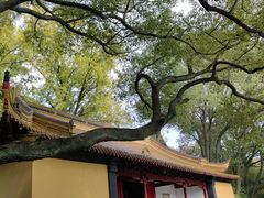 -狼山风景名胜区