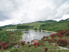 -玉舍国家森林公园