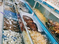 -港畔赶海蒸汽海鲜烧烤自助(仙螺岛店)