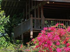 -深圳国际园林花卉博览园