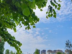 -枫香湖儿童公园