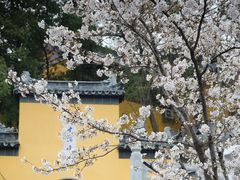 -鸡鸣寺