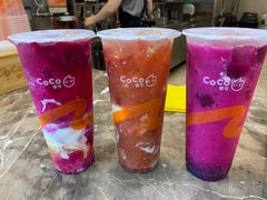 -CoCo都可(惠福店)