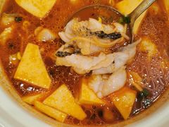 -蜀腾川·火锅鱼.烤鱼(新世界城店)