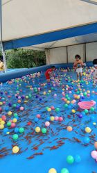 -萌宠亲子动物乐园(槐房万达店)