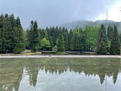 -武陵山森林公园