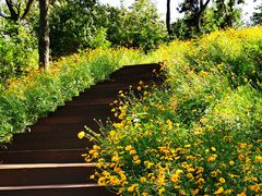 -南京金牛湖风景区