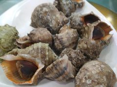 -四海蒸鲜蒸汽海鲜自助(北戴河店)