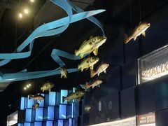 -同济大学四平路校区深海探索馆