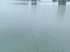 -大湾区中央湿地公园-十九涌