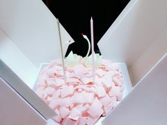 -BLACKSWAN黑天鹅(环球店)