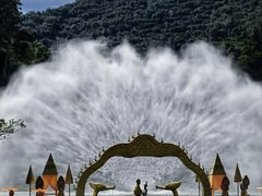 -西双版纳原始森林公园