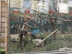 -成都动物园