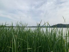 -东湖落雁景区