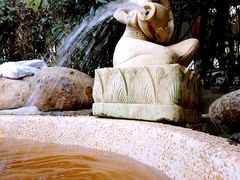 iphone_upload_pic-余姚阳明温泉山庄