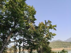 -孔雀湖生态旅游区