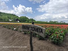 -富田农场